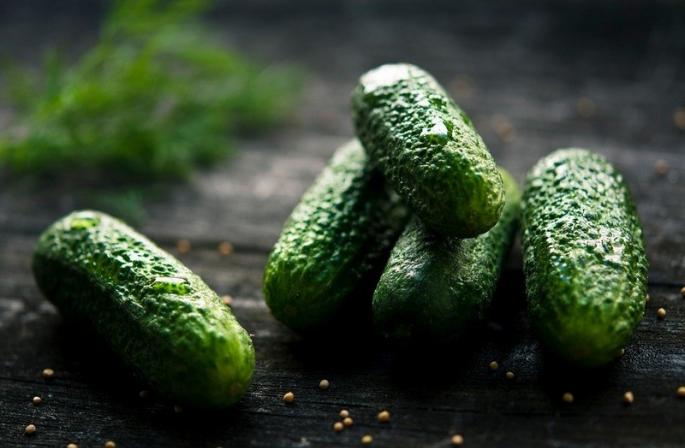 Ako udržať uhorky čerstvé?